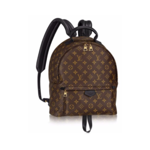 Louis Vuitton Palm Springs PM Monogram 30 cm backpack