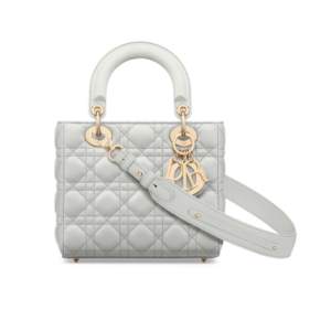 Lady Dior My ABCDior pearl grey bag 20 cm