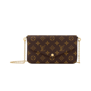 Louis Vuitton Pochette Félicie bag in brown Monogram canvas 21 cm