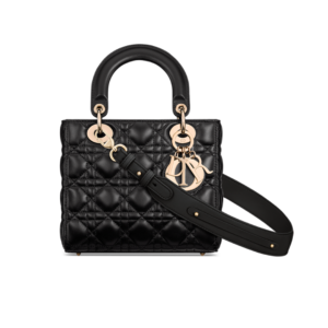 Lady Dior My ABCDior bag black 20 cm