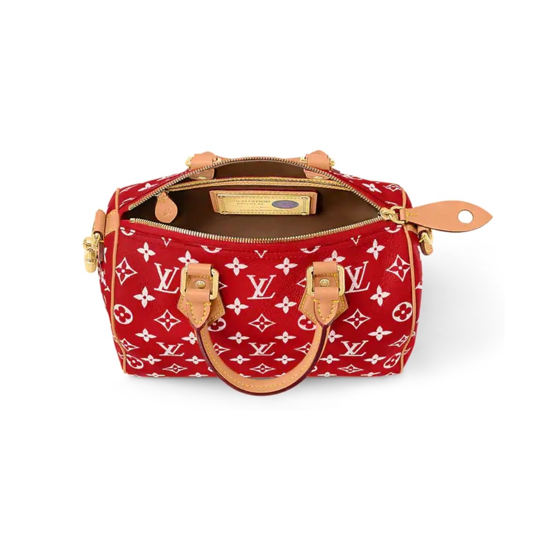 Louis Vuitton Speedy P9 Bandoulière bag 25 cm - Image 4