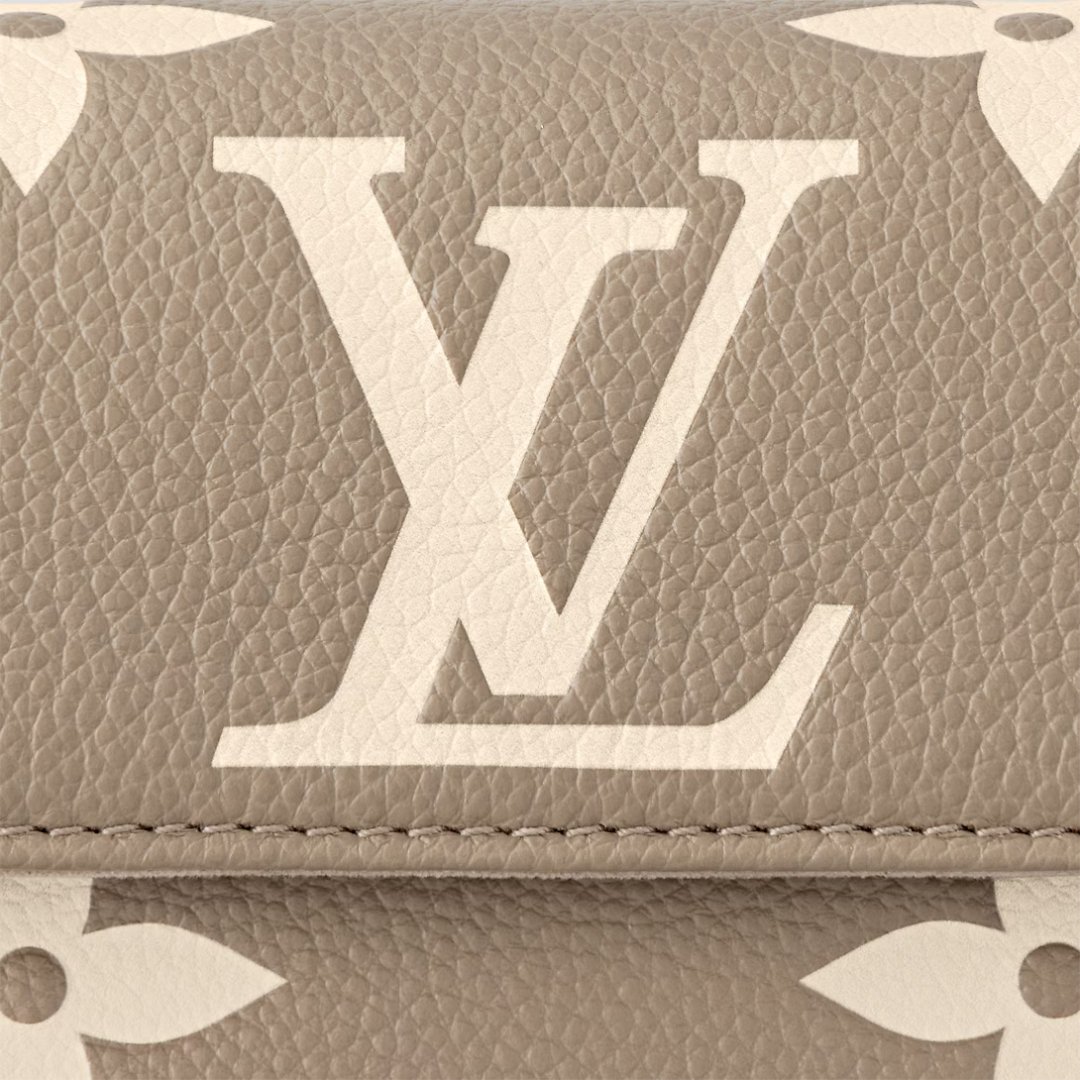 Louis Vuitton Wallet on Chain Ivy bag in Taupe leather 23.5cm - Image 4