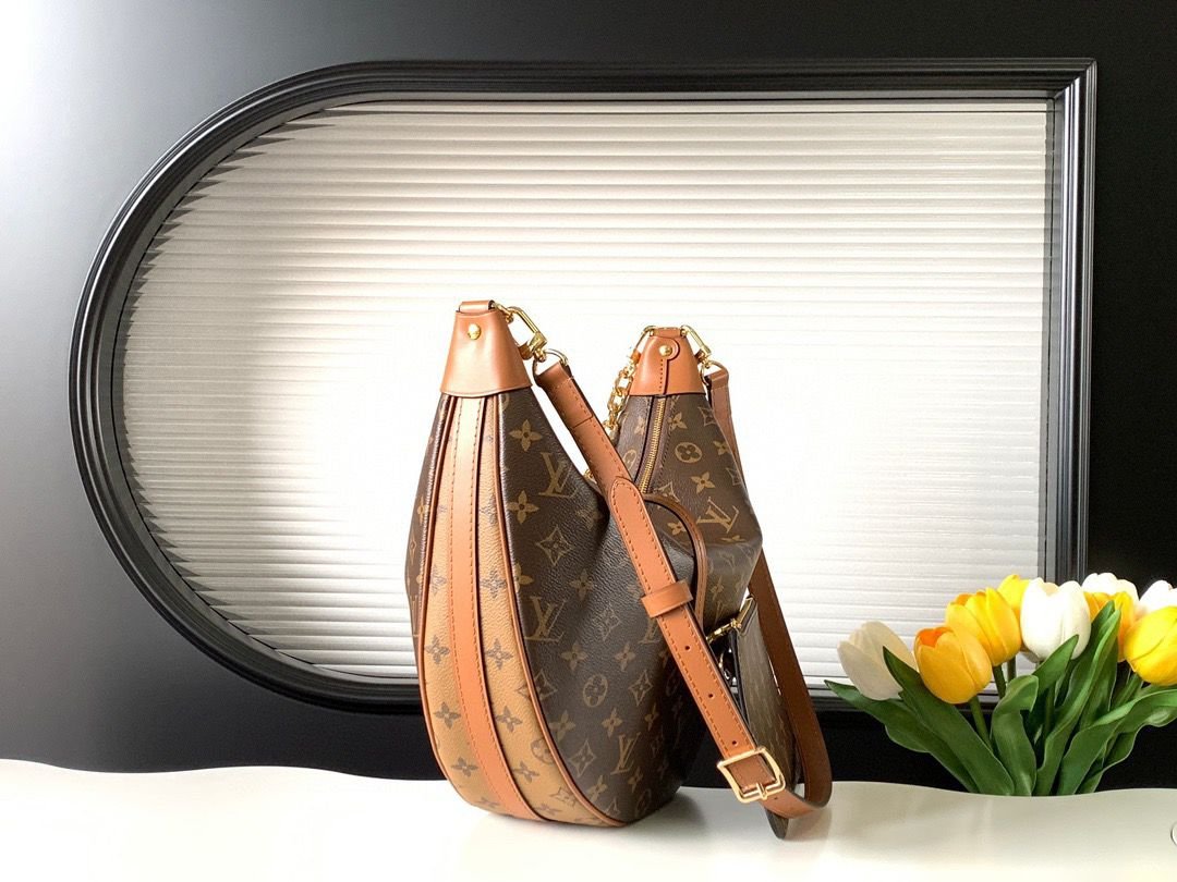 Louis Vuitton Loop Hobo Bag in Brown Monogram Canvas 38 cm - Image 3