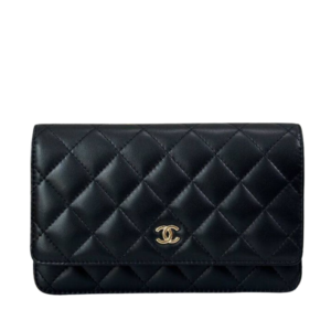 Chanel Classic Quilted Wallet on Chain (WOC) 19.2 cm